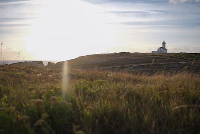 Baie de Quiberon - Morbihan - Bretagne - France