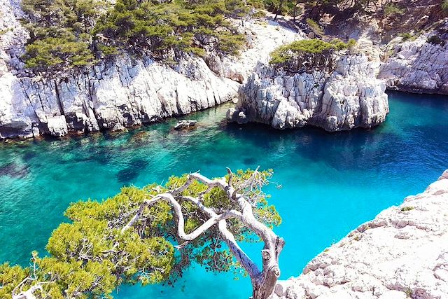 Voyage Calanques et sensations provençales