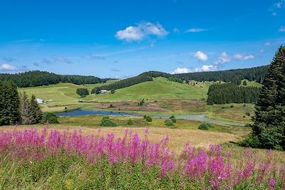 Parc naturel régional du Haut-Jura - France