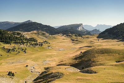 Les Hauts-Plateaux du Vercors - France