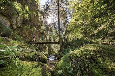 Randonnée dans les Gorges du Bruyant - Parc régional du Vercors - France