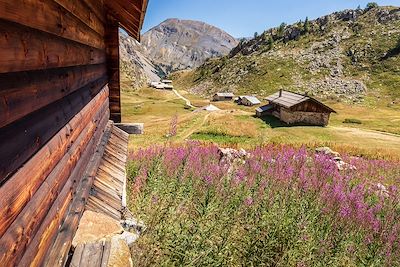 Voyage Alpes du Sud