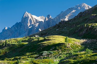 Massif du Thabor - France