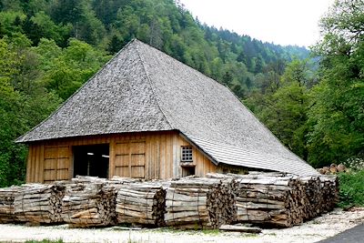 Scierie du monastère - Parc de la Chartreuse - France