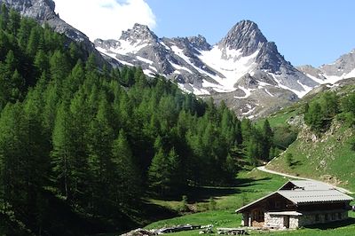 Alpages de Clapeyto - Queyras -France