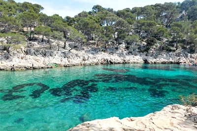 Calanque de Port-Pin - Cassis - France