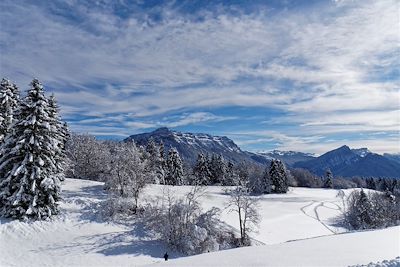 Raquette Alpes du Nord