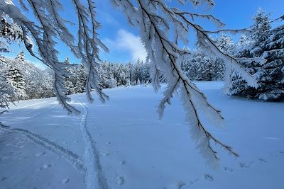 Massif de la Chartreuse - France