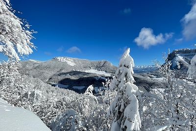 Massif de la Chartreuse - France