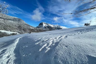 Randonnée en raquettes dans le massif de la Chartreuse - France