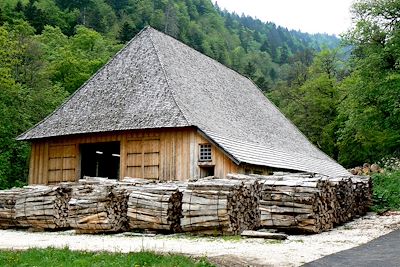 Scierie du monastère - Parc de la Chartreuse - France