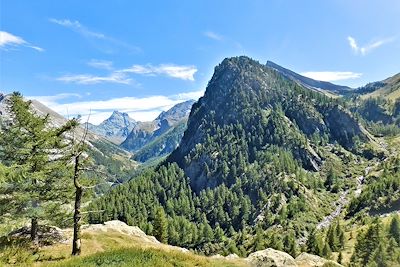 Vue sur le Mont Viso - Queyras - Hautes-Alpes - France