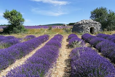 Voyage Provence - Côte d'Azur