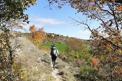 Lure - Haute-Provence - France