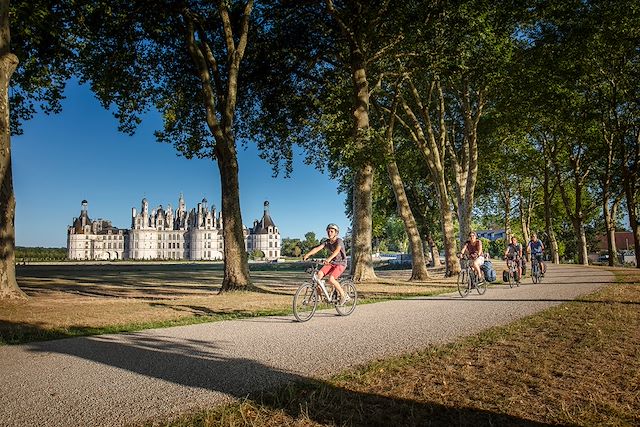 Voyage Escapade au fil de la Loire et ses châteaux à vélo