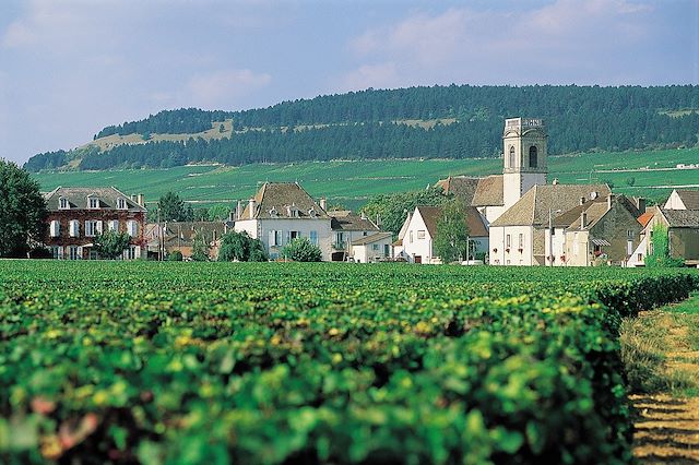 Voyage Bourgogne authentique, la route des vins à vélo