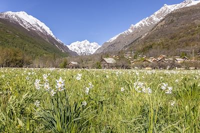 Vallée de la Vallouise - Massif des Ecrins - France