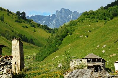 Vieille tour défensive - Géorgie