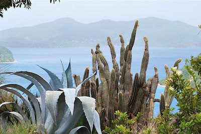 Archipel des Saintes - Terre-de-Haut - Guadeloupe