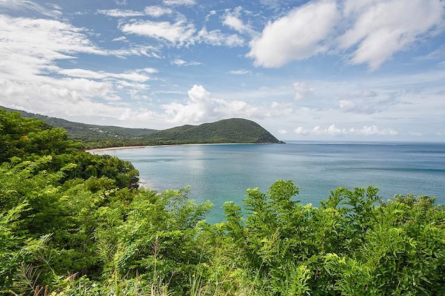 Voyage L'île Papillon en toute liberté