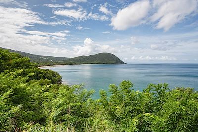 L'île Papillon en toute liberté