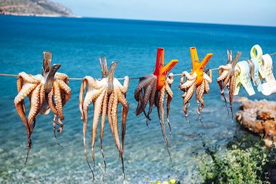 Séchage de la pieuvre au soleil - Crète - Grèce