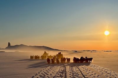 Chiens traîneau au coucher de soleil - Groenland