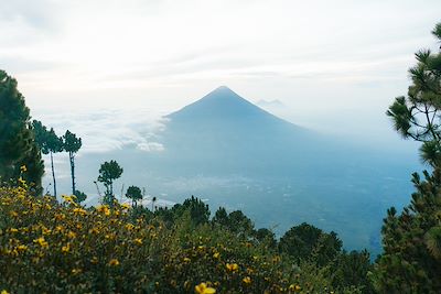 Volcan Pacaya - Guatemala