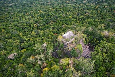 El Mirador - Guatemala 