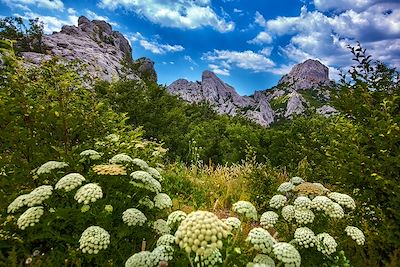 Parc national de Paklenica - Croatie