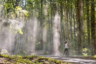 Vélo forêt tropical - Bali - Indonésie 