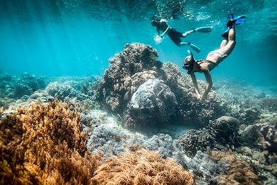 Snorkeling - Raja Ampat - Indonésie