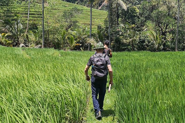 Voyage Bali, panel d'ambiances sur l'île des dieux