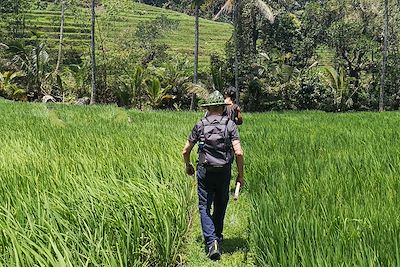 Trek Rizières de Belimbing - Bali - Indonésie