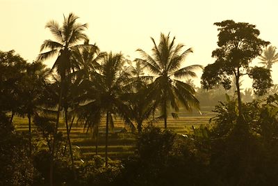 Ubud - Bali - Indonésie