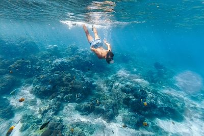 Snorkeling en Indonesie