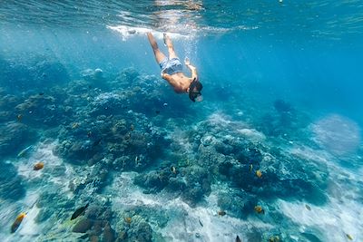 Snorkeling en Indonesie