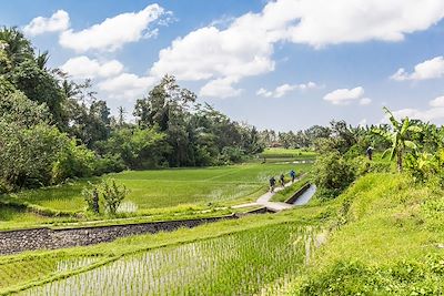 Ubud - Bali - Indonésie