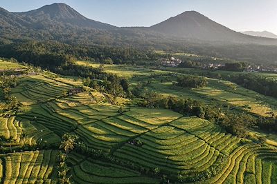 Jatiluwih - Bali - Indonésie