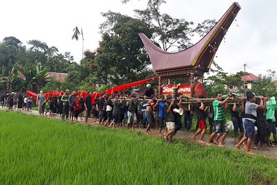 Cérémonie funéraire dans un village toraja - Sulawesi - Indonésie 