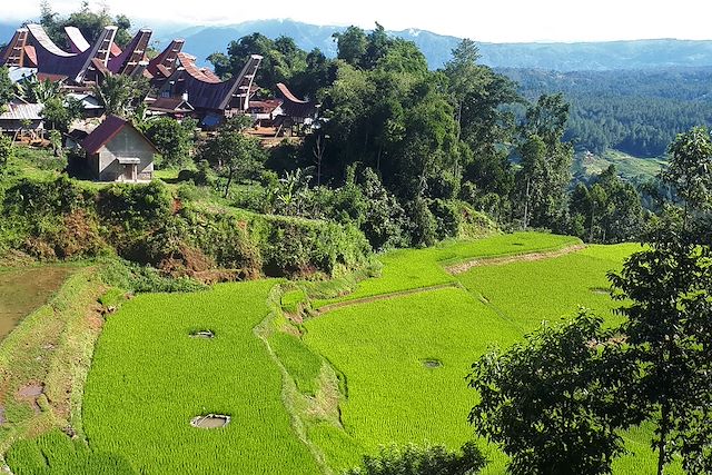 Voyage Balade sulawesienne