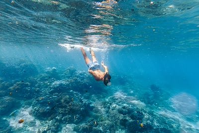 Snorkeling en Indonesie