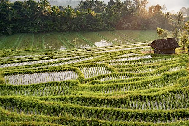 Voyage Grande traversée de Bali