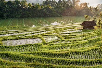 Village de Belimbing - Bali - Indonésie