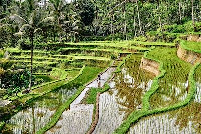 Aventures et nature en famille à Bali