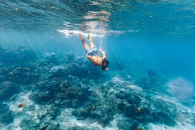 Snorkeling en Indonesie