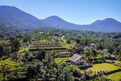 Villa Artis Jatiluwih - Jatiluwin - Indonésie