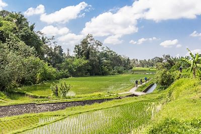 Ubud - Bali - Indonésie