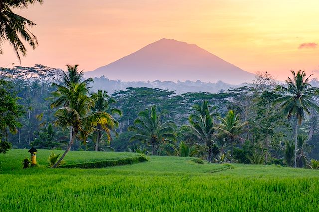 Voyage Grande traversée de Bali et ascension du Rinjani