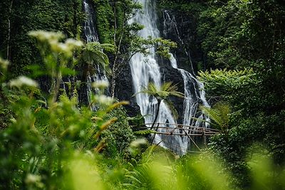 Cascade - Bali - Indonésie